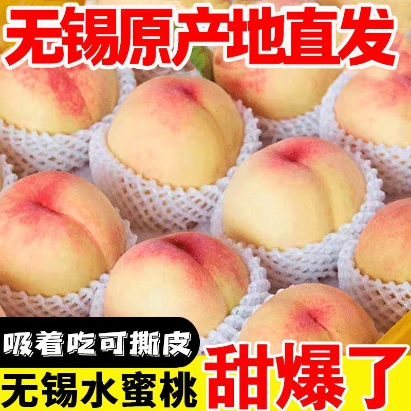 现摘现发正宗无锡阳山白凤水蜜桃当季新鲜水果6两8个礼盒装包邮