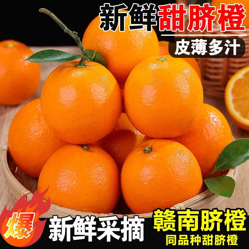 【正宗高山脐橙】赣南脐橙同品种皮薄肉厚果园直发新鲜多仓发货Y