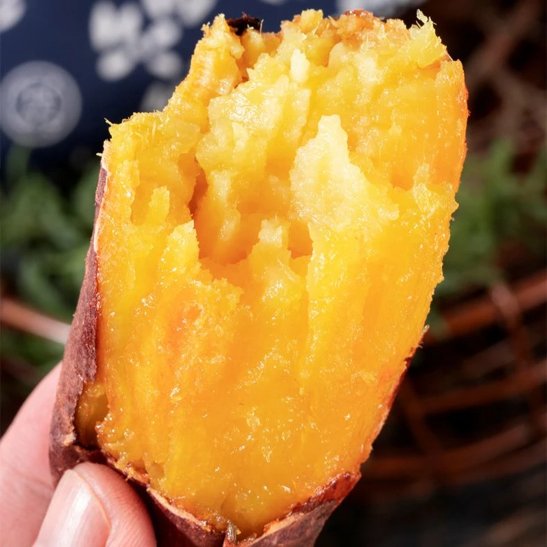 [安娜苏丝专属]正宗榴莲蜜薯5斤装(精品小果)软糯香甜原产地发货