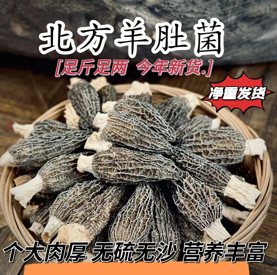康合园5 - 8厘米大个头厚肉头茬羊肚菌干货煲汤鲜美营养