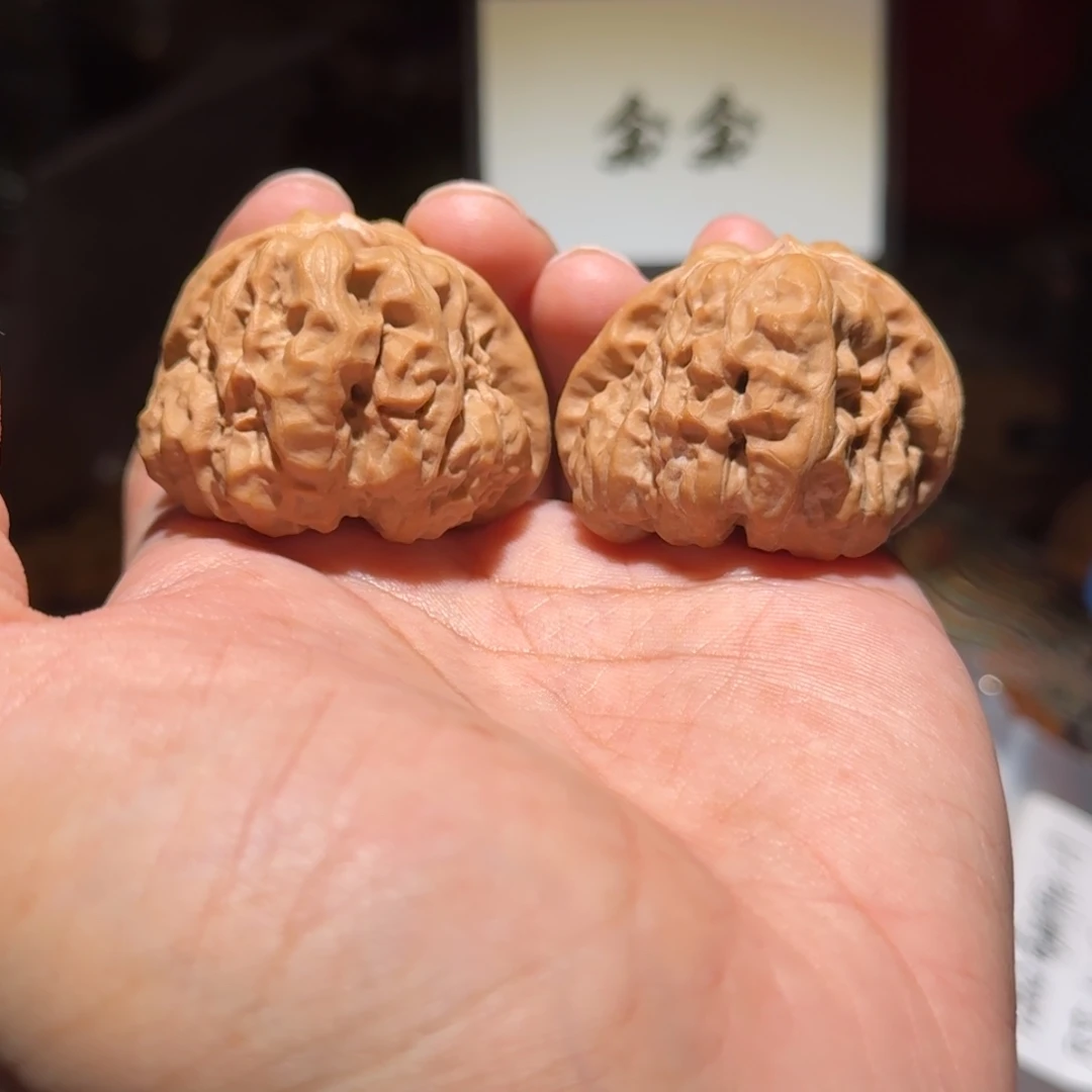 核桃把件1514蛤蟆，鬼脚七，尺寸42