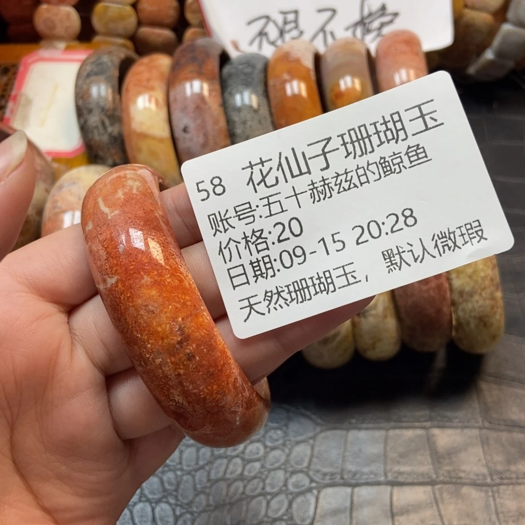 五***鱼未镶嵌硅化珊瑚（珊瑚玉）珠宝半成品58