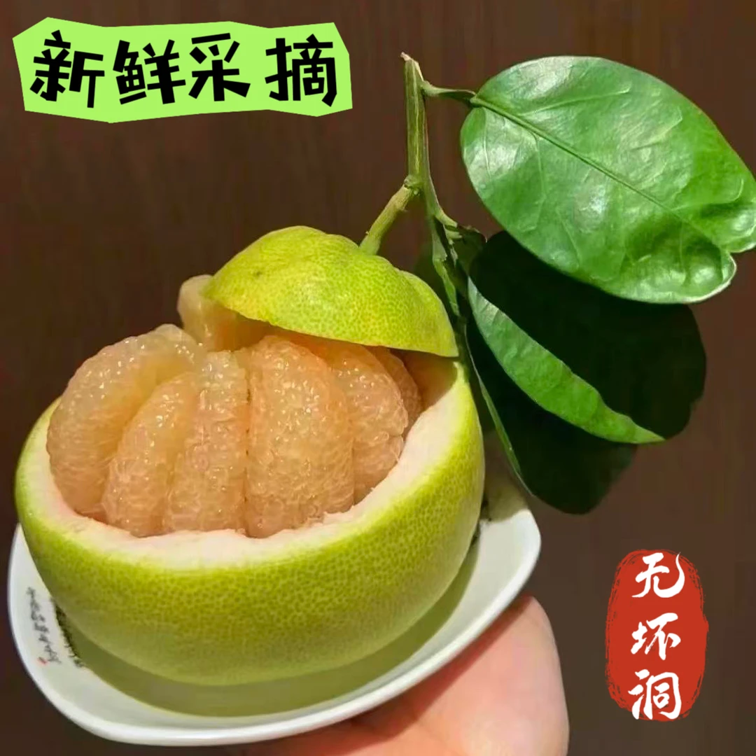 度尾文旦柚新鲜当季现摘红心蜜柚皮薄多汁香甜可口新鲜采摘直发