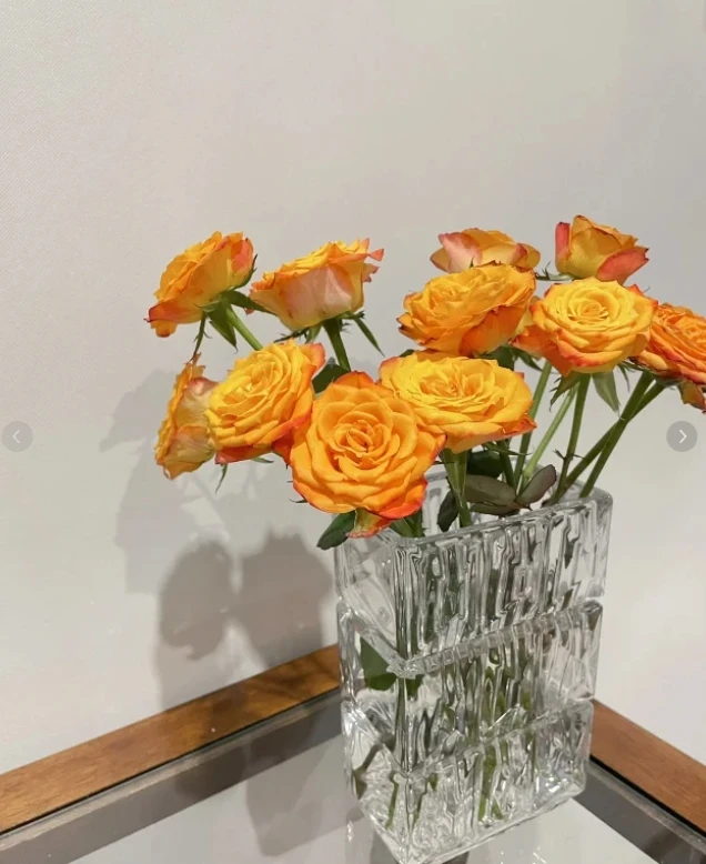 【新疆花之溪】金色海岸玫瑰17-20枝（5枝不售后）