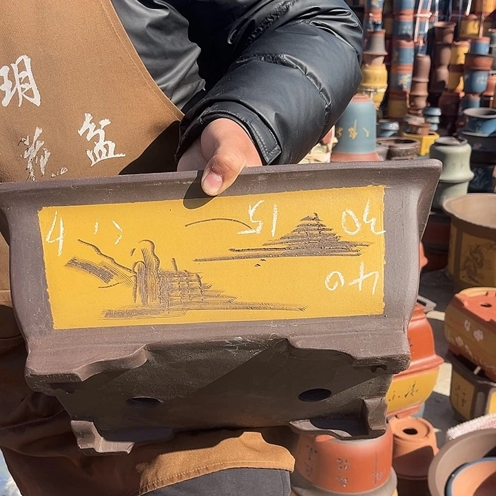 紫砂紫砂花盆盆栽