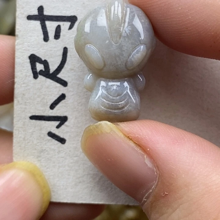 硅化珊瑚（珊瑚玉）未镶嵌颈饰