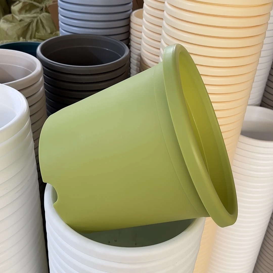 微瑕4号8个无托，果绿