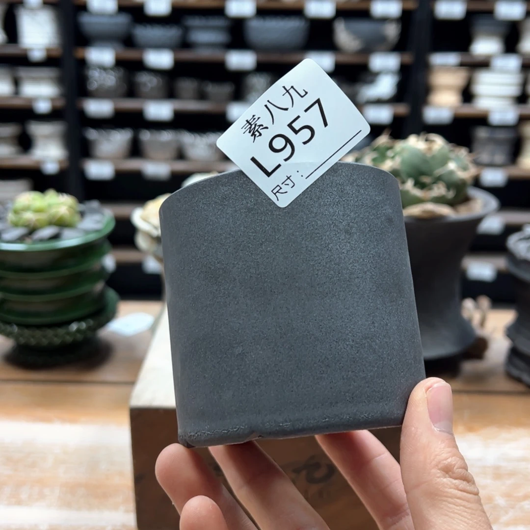 素八九陶瓷内口7高8✨****.