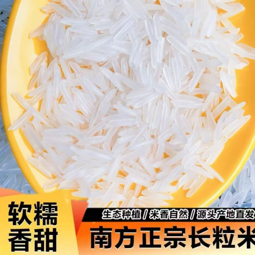 【甄选好米】猫牙米清香软糯营养丰富适合煲仔饭10斤真空试吃一斤xx