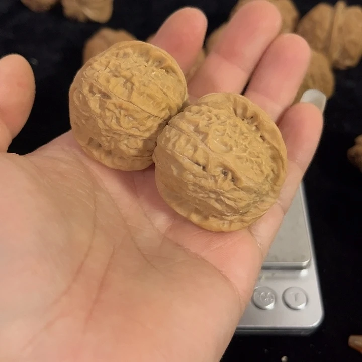 把件文玩核桃39左右南瓜墩编号028