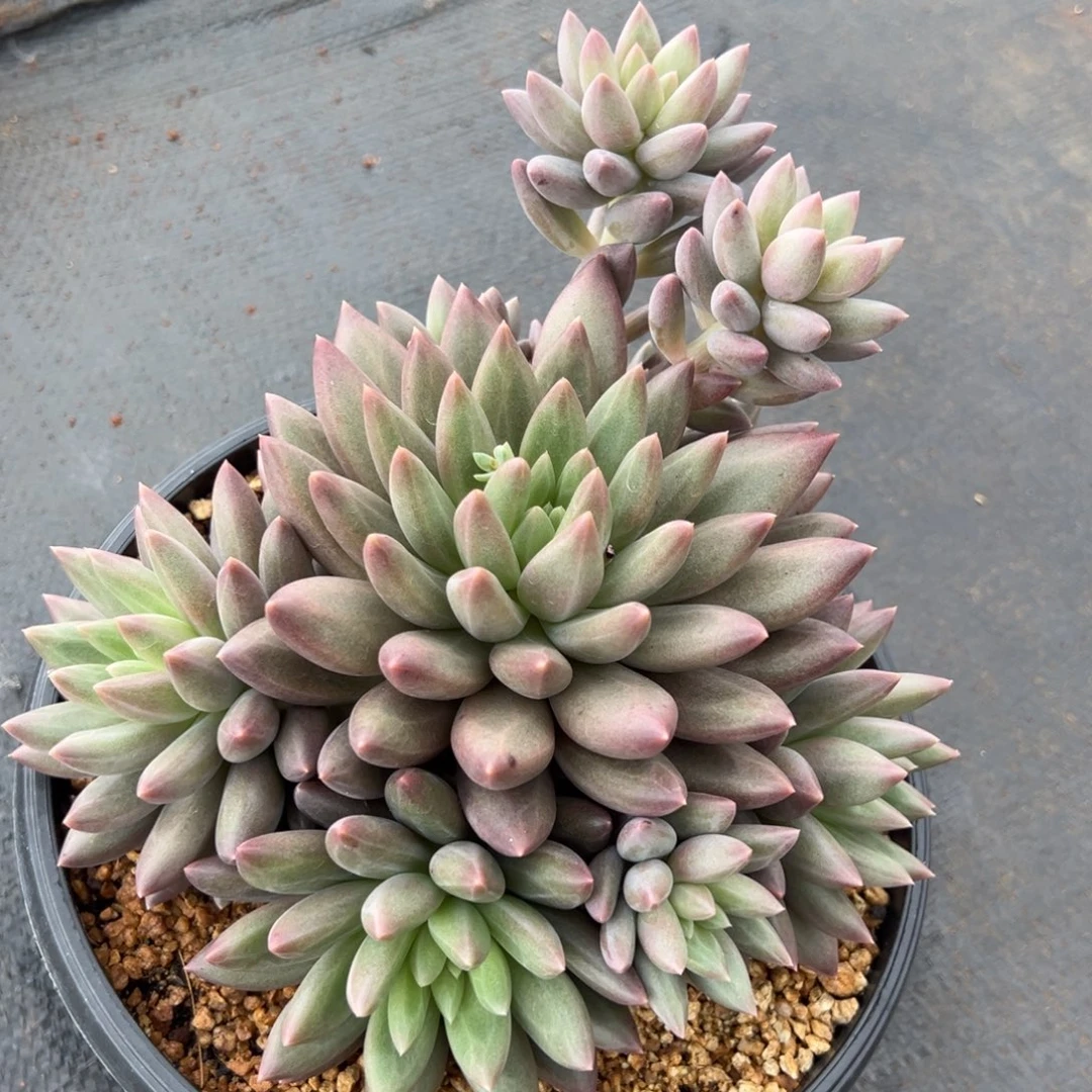 1024111111111111111111