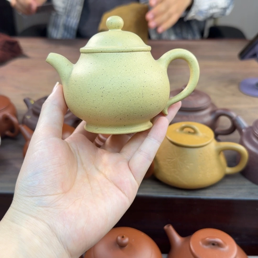 半手本绿潘壶160-170cc