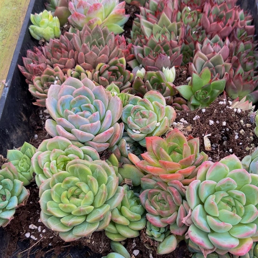 134的人了还在看电视