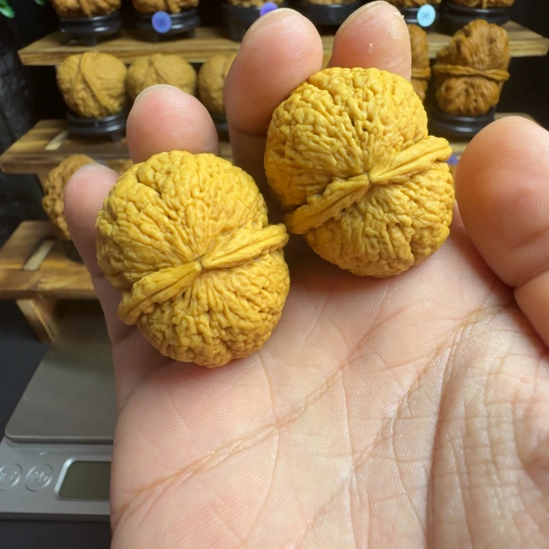 把件文玩核桃8号脑纹元宝40尺