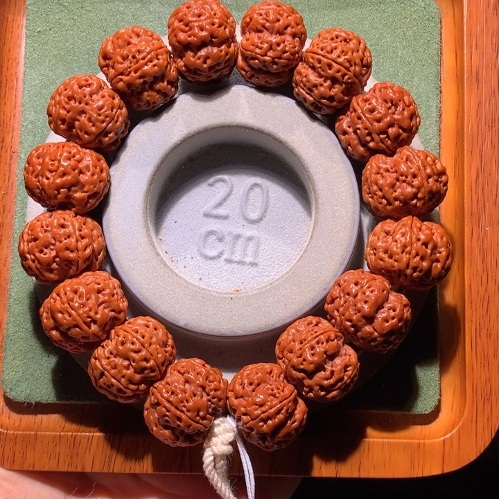 手串金刚菩提21+定制款龙爪梅花