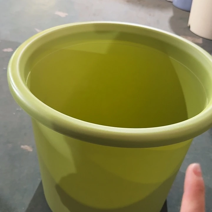 四季9号果绿无托4个特价微瑕