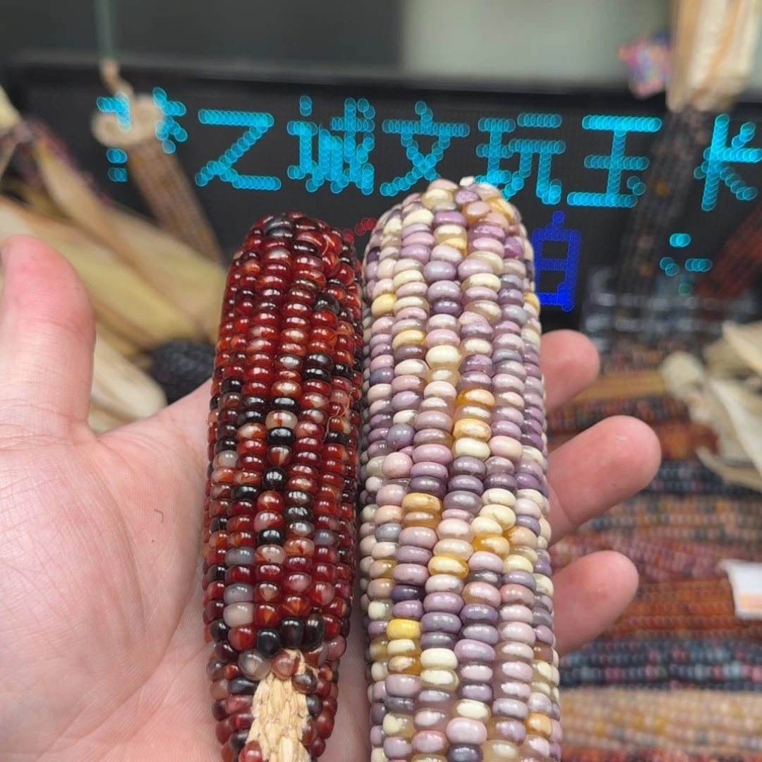 柏香籽/百香籽吊坠~*~