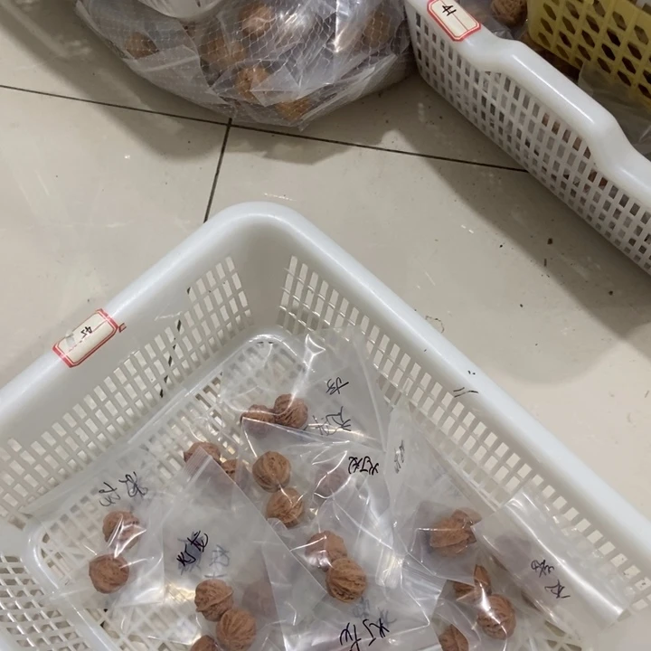 吊坠文玩核桃灯笼秋子