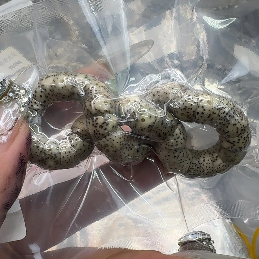 手串星月菩提263快乐星月菩提10