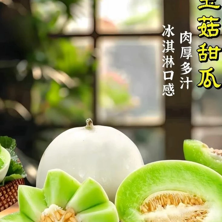 【佳悦甄选】冰淇淋玉菇甜瓜2斤-4.5斤新鲜现摘软糯香甜，可口多汁【顺丰包邮今天拍明天到】
