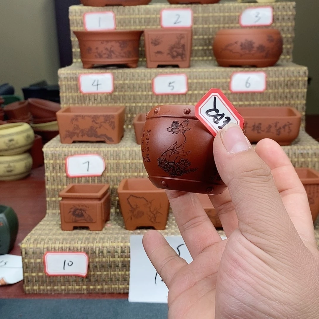 紫砂花盆沉****金我在等一