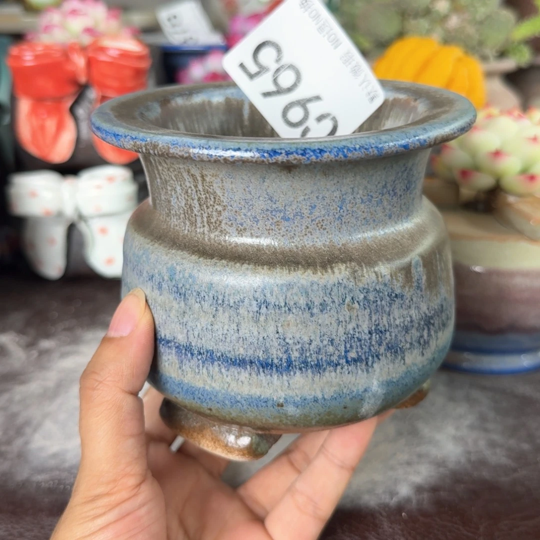 重庆小燕子欢迎大家965
