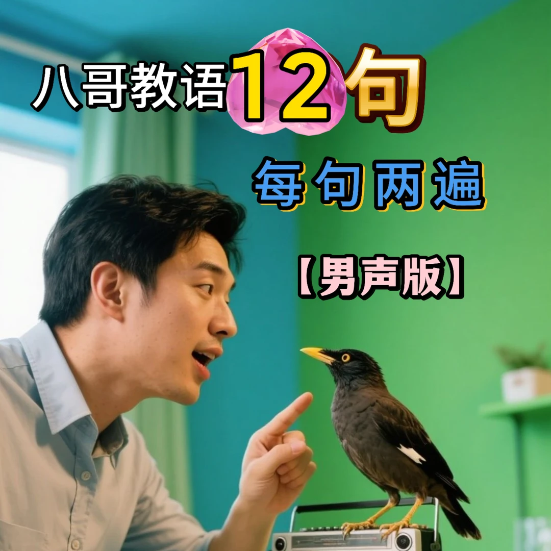 八哥教语音频卡鸟用宠物用品