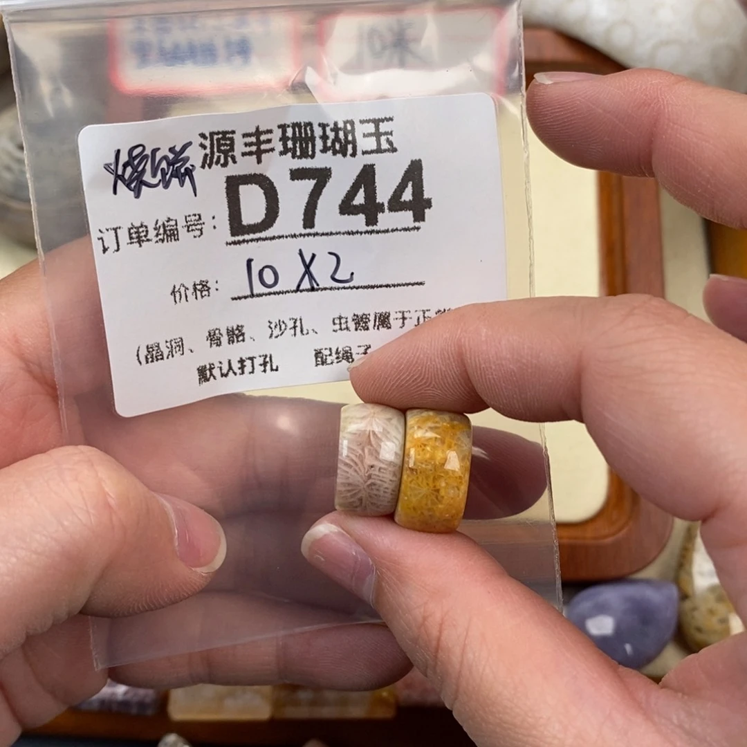 硅化玉颈饰未镶嵌和****饼