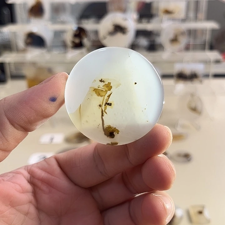 玛瑙/玉髓吊坠(不含链)未镶嵌