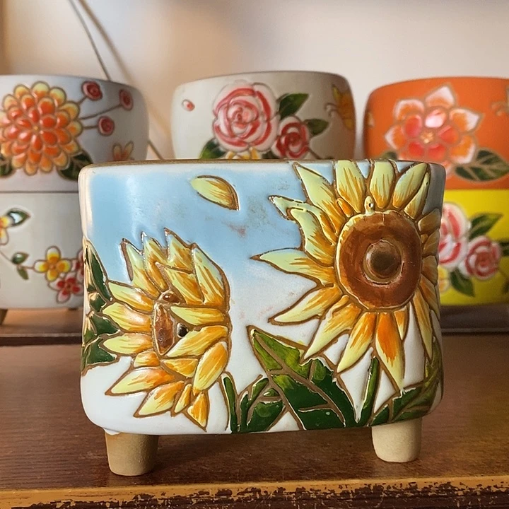 韩式多肉植物花盆