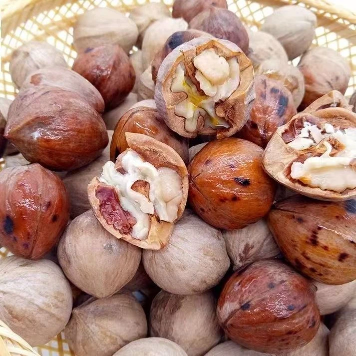 核桃贵州榕江生核桃黔东南特产新鲜水煮原味香甜农家小核桃坚果