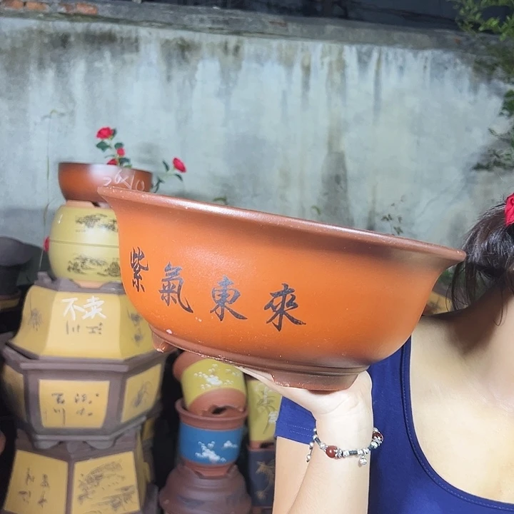 小红花盆花盆花盆花盆×2