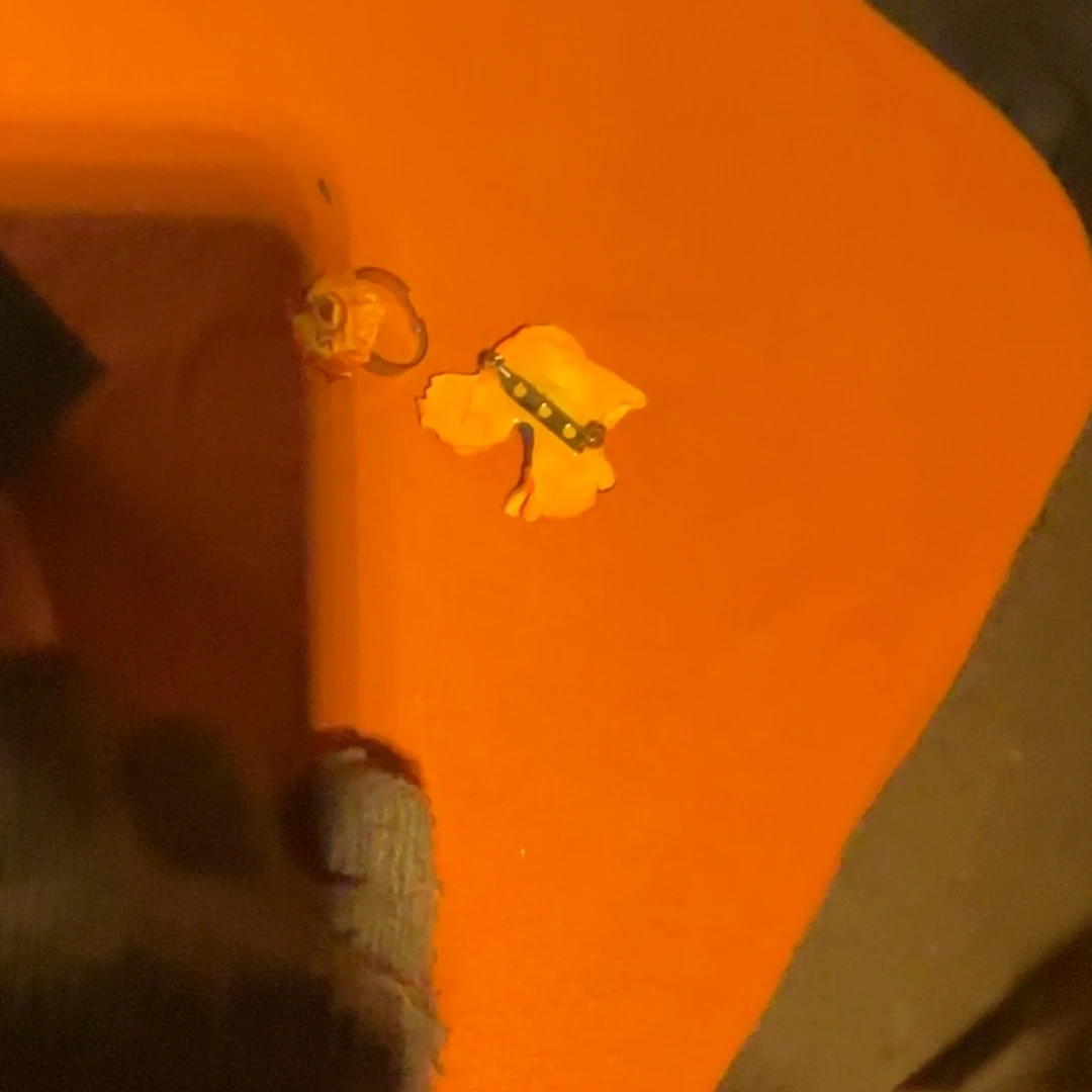 瓷片咕*?可爱的犹犹豫豫鸭鸭鸭