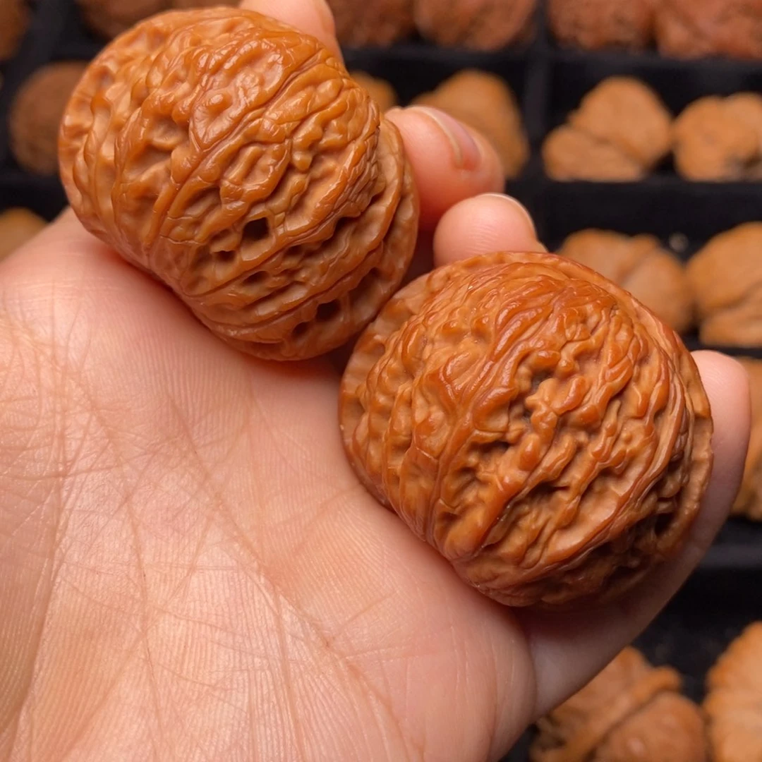 秦岭野生文玩核桃