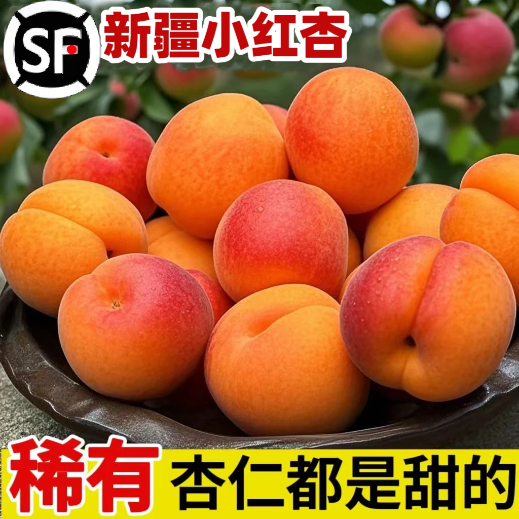 新疆轮台小红杏吊杆杏3/5斤当季新鲜孕妇水果库车甜黄杏子小白杏