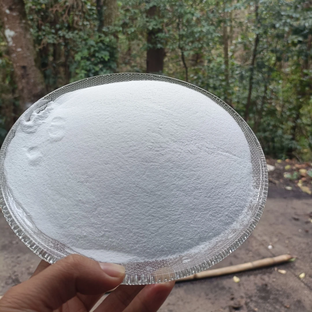 A【白-桦-树-粉-菇】净含量250g-1000g【小邵现收】