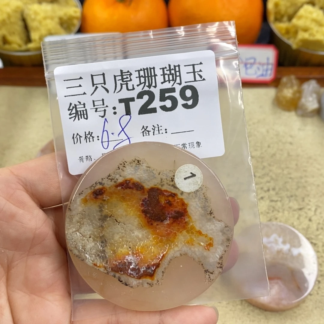 硅化珊瑚（珊瑚玉）1未镶嵌墨*