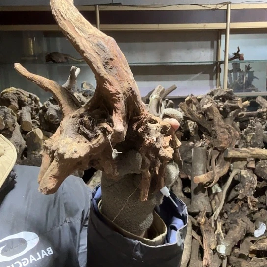 香榧木_**n火琉璃的故事毛料摆件