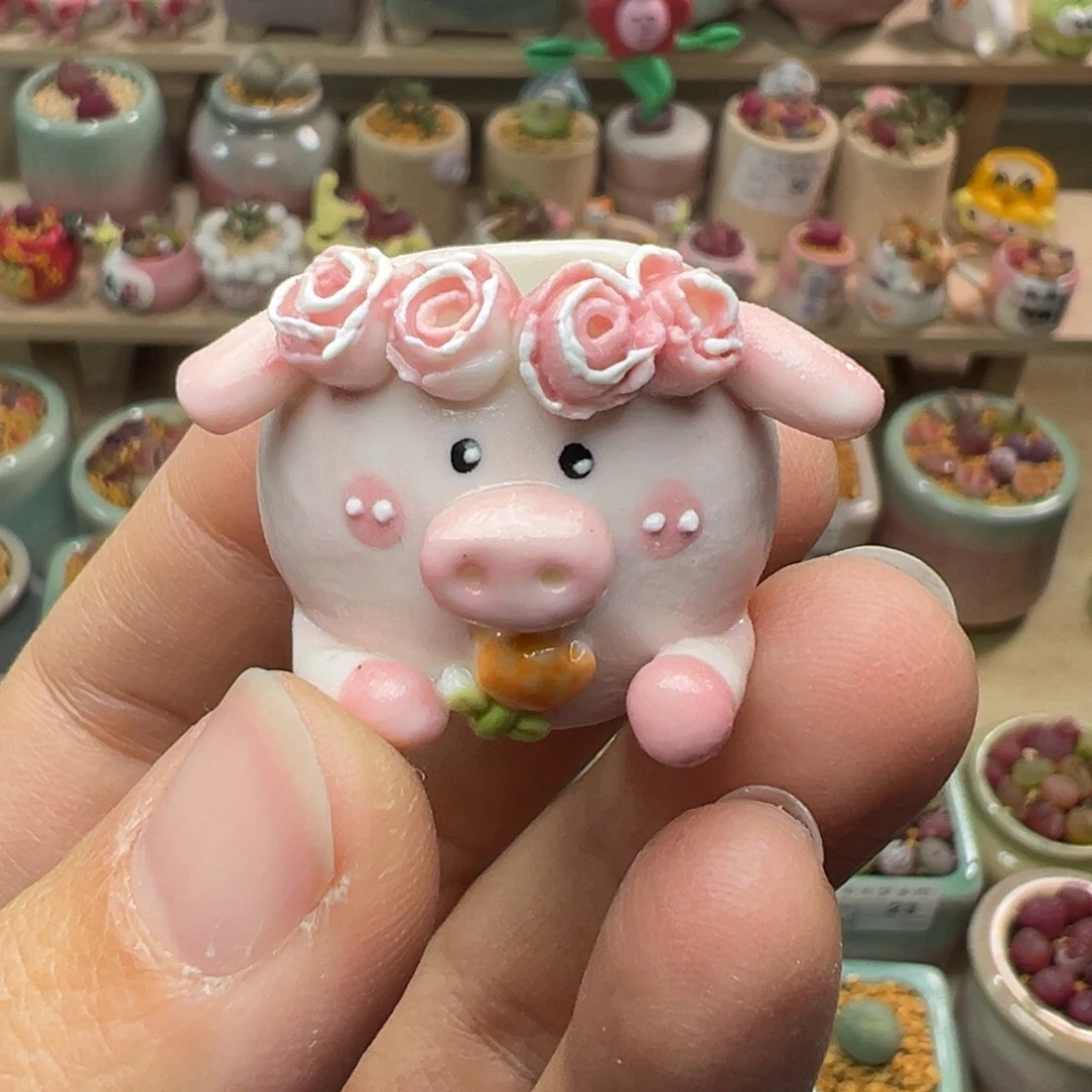 少****蹄多肉植物57号拇指盆