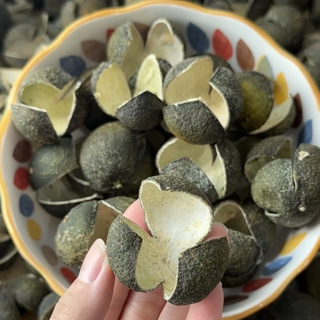 【2024年天马三花青】老树圈枝新会天马三花青可陈放