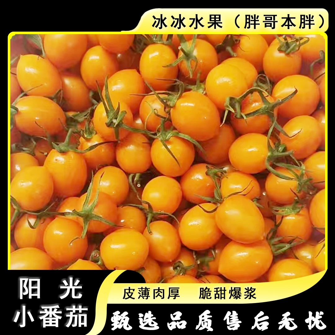 【散装】[N]阳光小千禧 份/净重2斤左右 仅限太原晋中吕梁忻州可拍