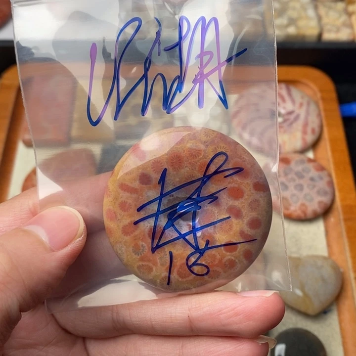 硅化玉颈饰足金镶嵌江*水