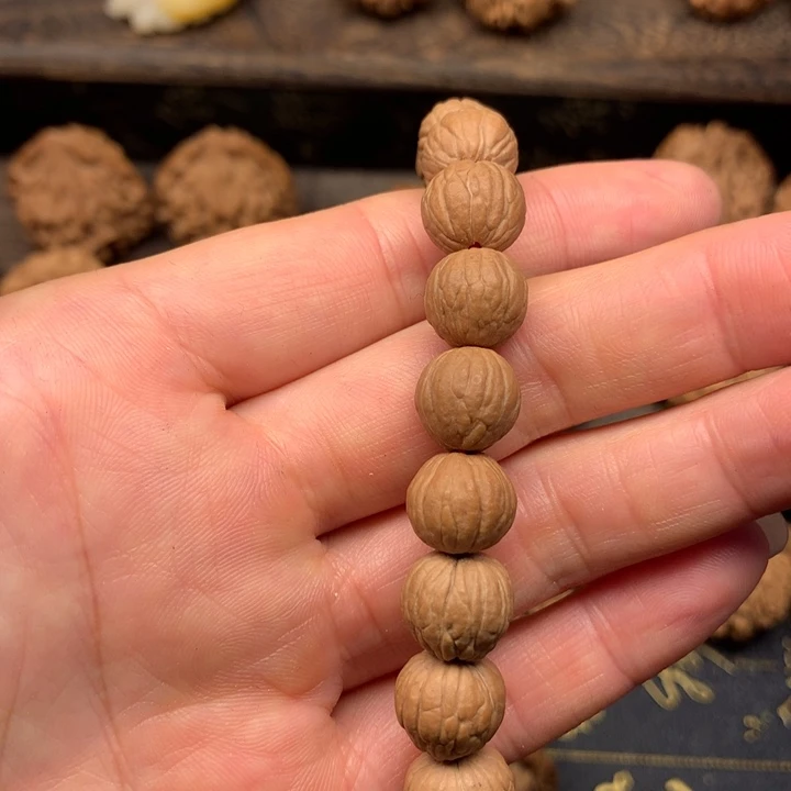 飘***秦岭森林生态系统保护