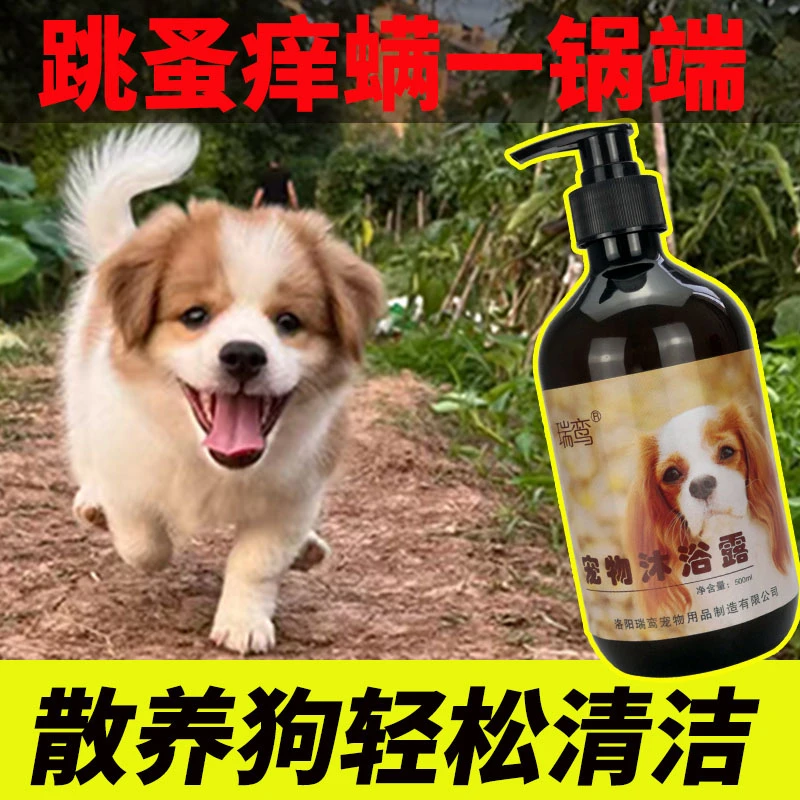 【洗完超干净】散养土狗专用沐浴露田园犬洗澡大瓶实惠香披浴液