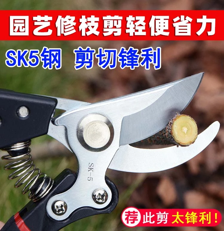 修枝剪园艺剪剪树枝果树专用剪刀修枝花卉果木葡萄剪子工具大全