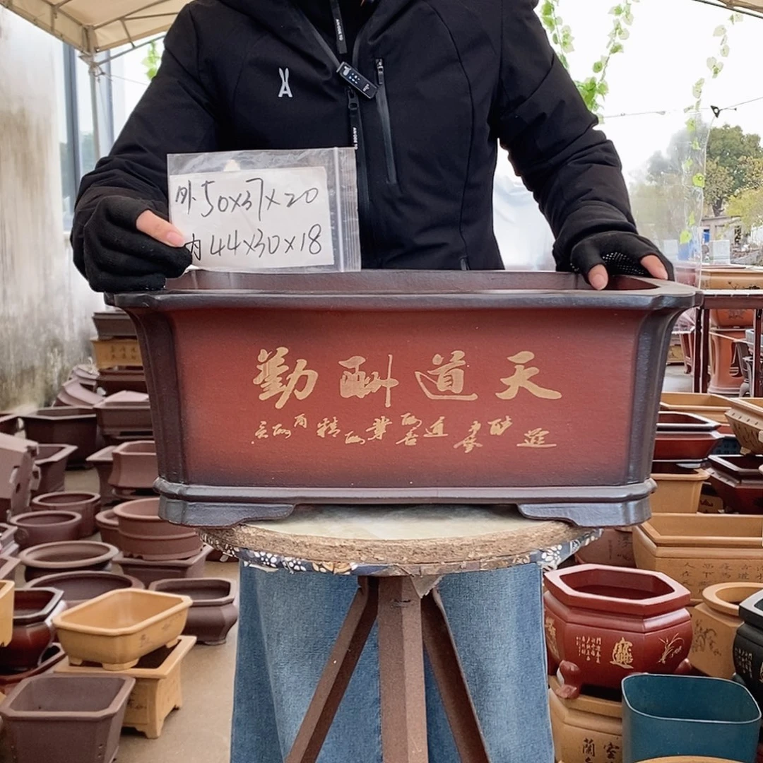 紫砂花盆紫砂花盆