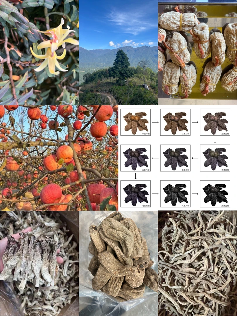 云南中缅边境山货土特产代购非菌菇