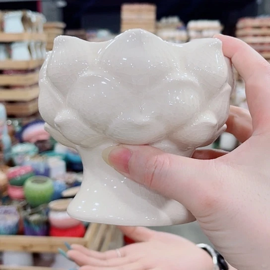 花盆凑单福利满10元发货！