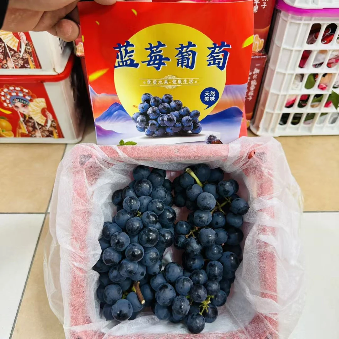 【只发天津市除县区】蓝莓葡萄 脆甜多汁 带框2.5斤左右