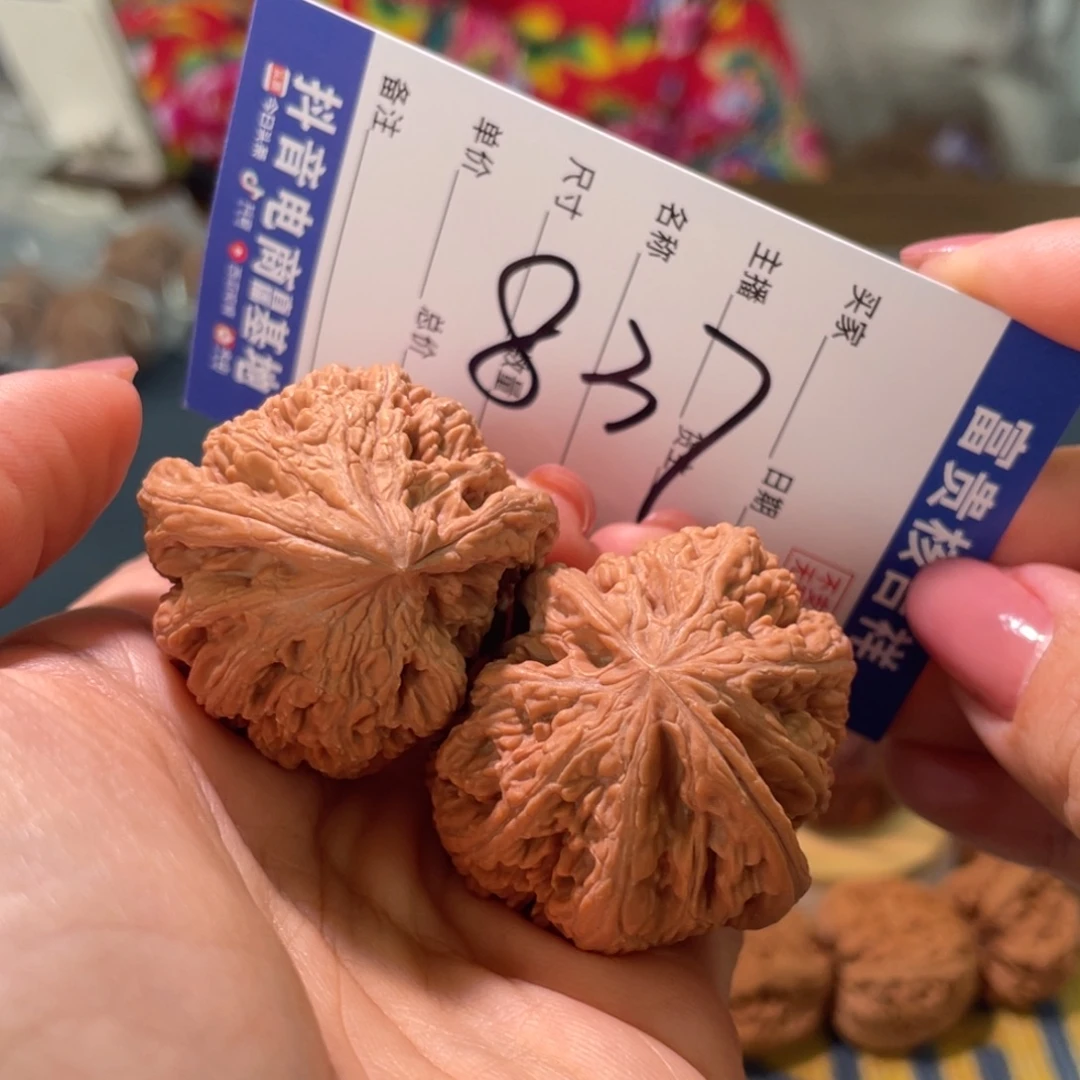 把件核桃粗筋半臂异形红皮